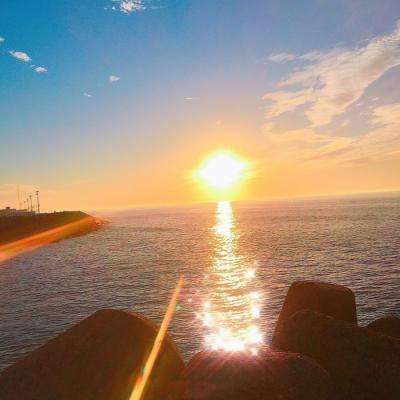 加拿大pc软件平台app下载