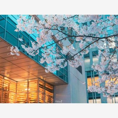 ag真人平台官方下载手机版